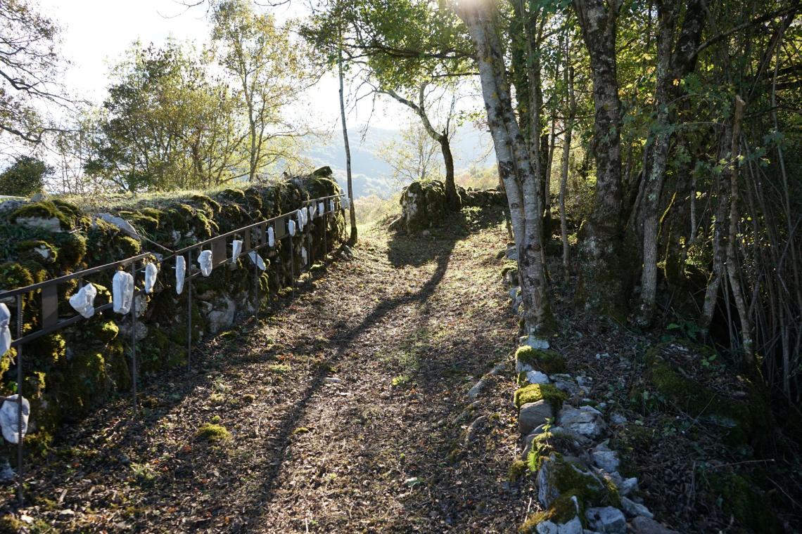 Plus loin le sentier continue Plus loin le sentier continue