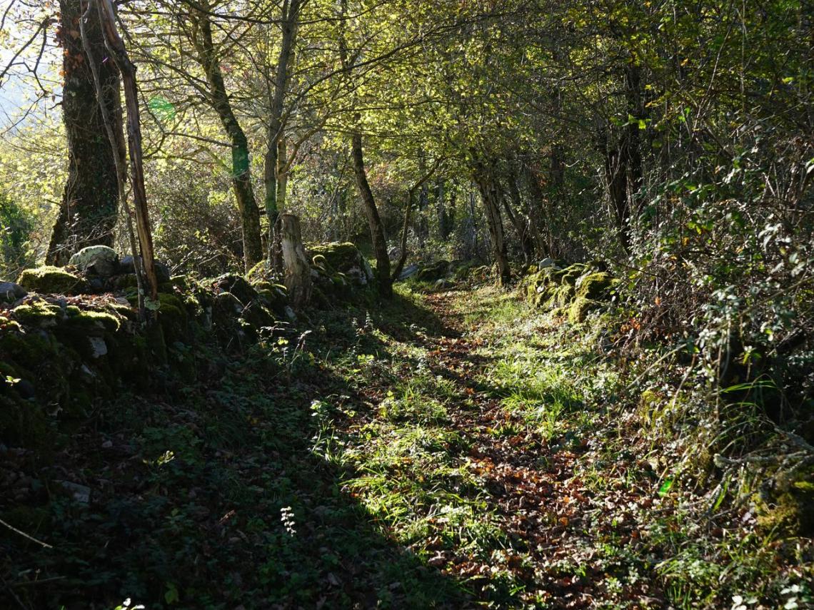 De chaque côté les restes de murets en pierres sèches De chaque côté les restes de murets en pierres sèches