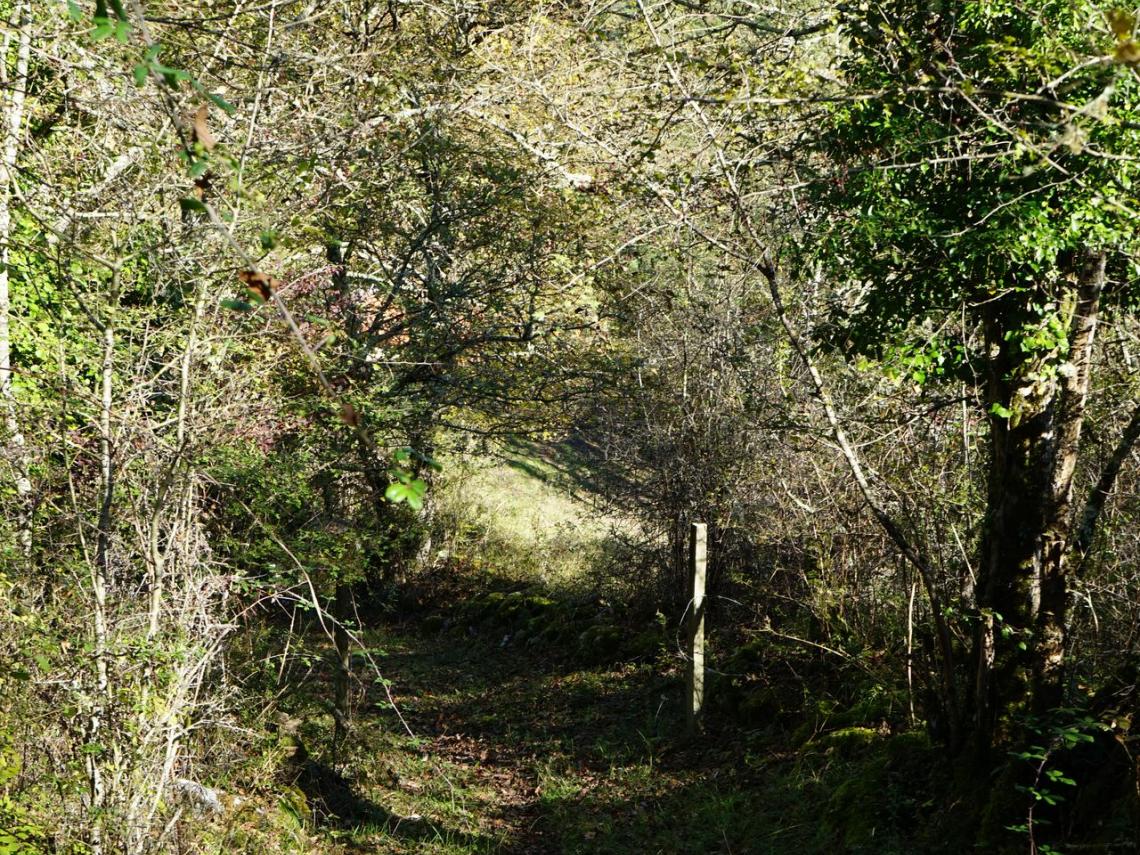 A droite comme à gauche les parcelles sont en friche A droite comme à gauche les parcelles sont en friche